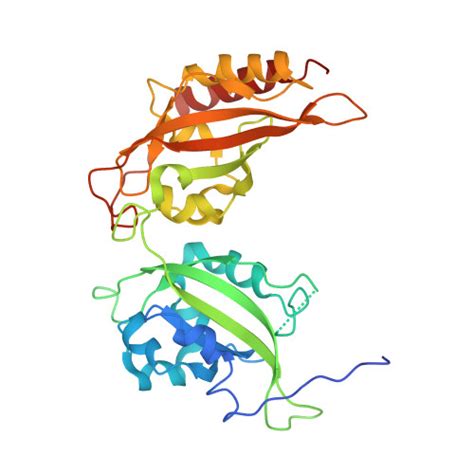 4DJ3: Unwinding The Differences Of The Mammalian Period .